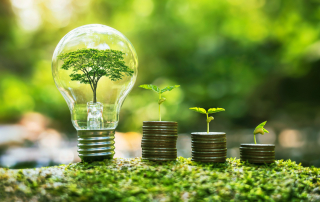 Gen Z: Leading the Way to Sustainable Money Choices graphic