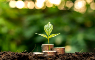 7 Simple Ways to Bank Greener graphic