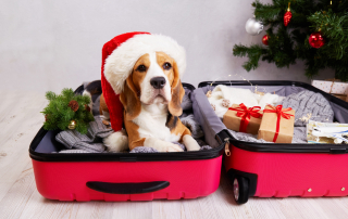 The Hidden Cost of Holiday Travel graphic